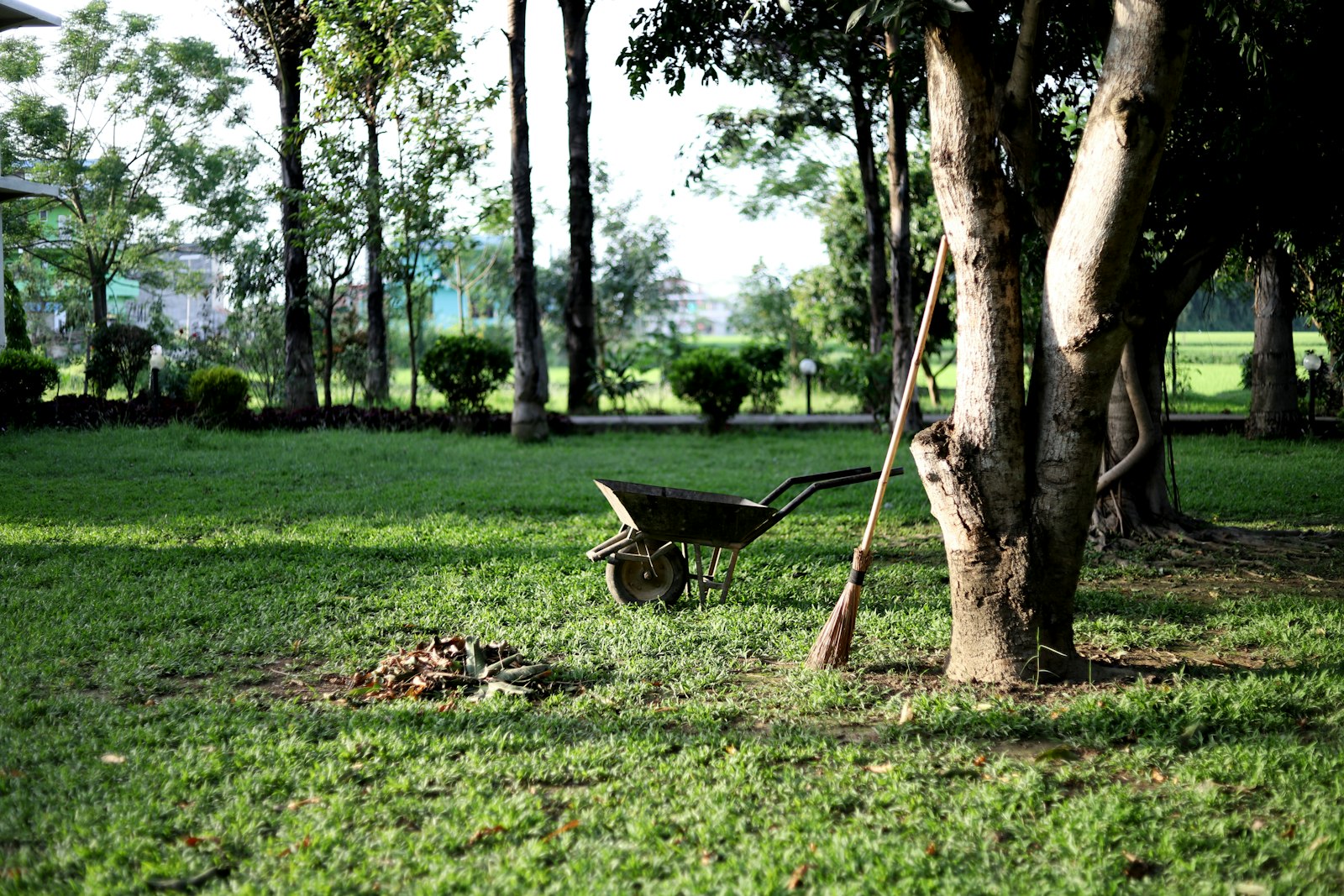 Outils de jardinage rangés près d'un arbre après un entretien de jardin